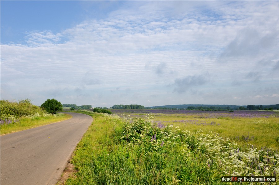 усадьба Завалино