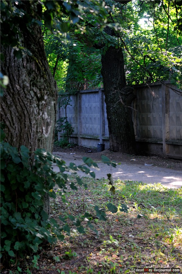 усадьба Долгое Ледово