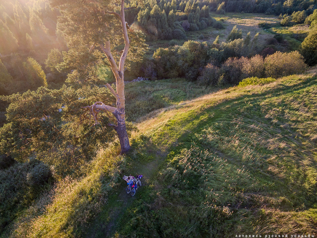 Могутовское городище, Шерна-городок, Могутово, фото с квадрокоптера