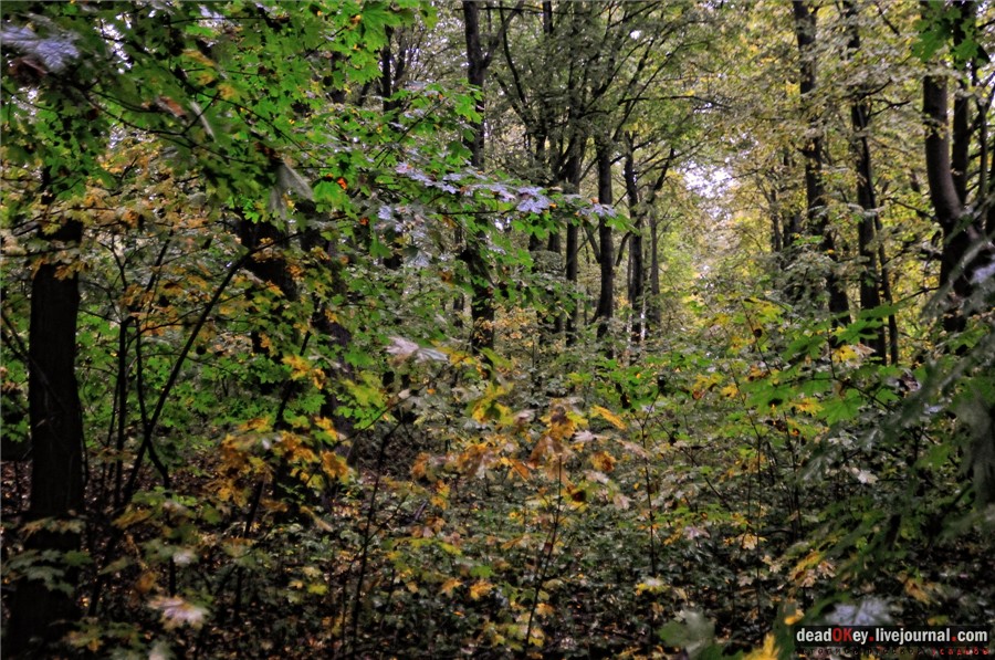 усадьба Ляхово