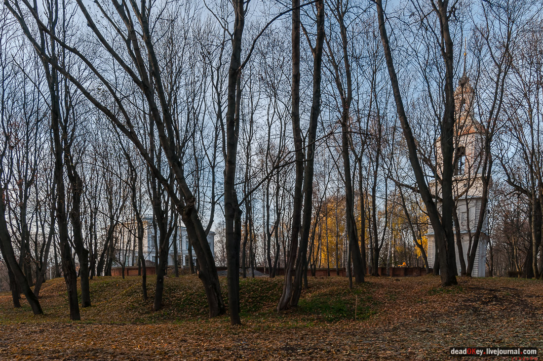 усадьба Богородицк