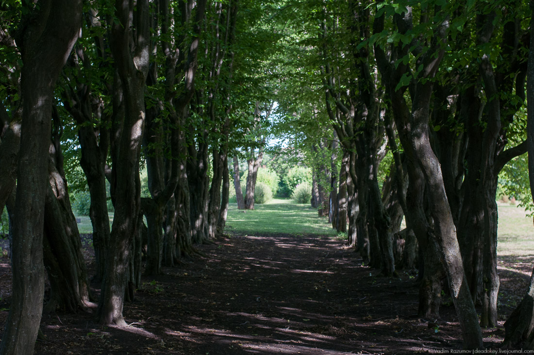 усадьба Барсуково