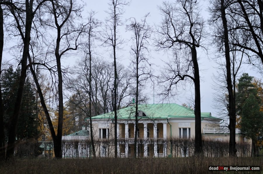 усадьба Горки Ленинские