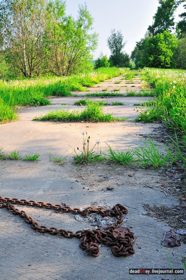 усадьба Богословское-Могильцы