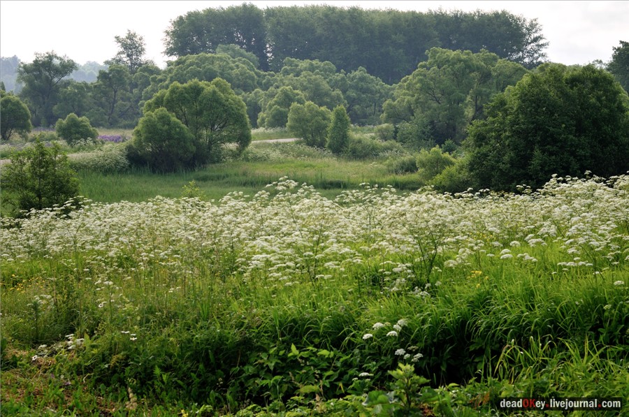 усадьба Завалино