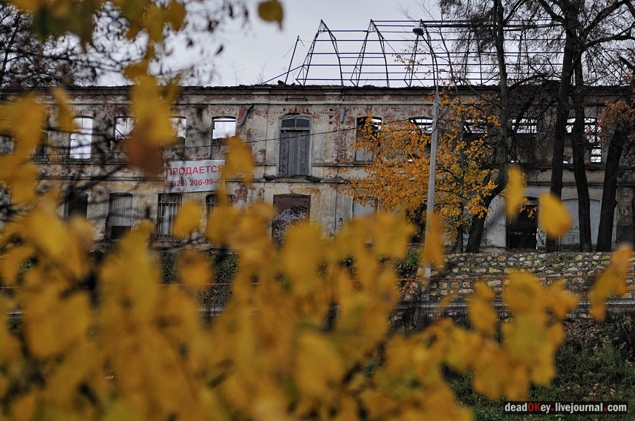 усадьба Богородской (пос. Володарского)