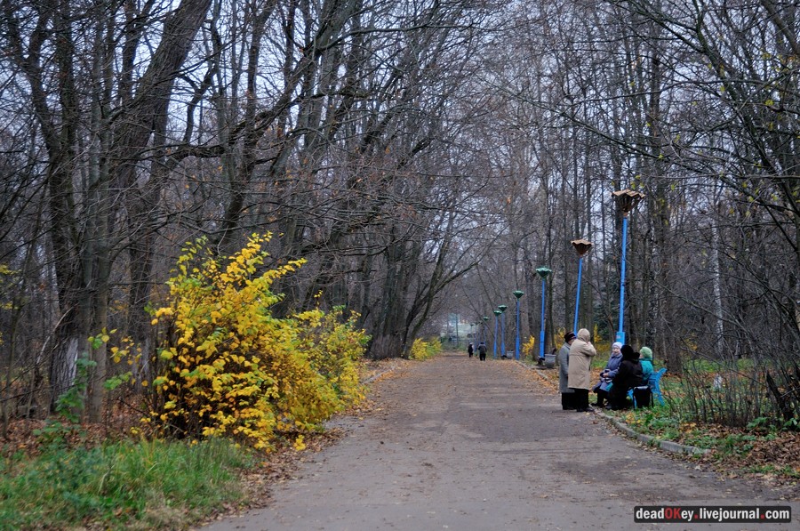 Бабушки в русских усадьбах
