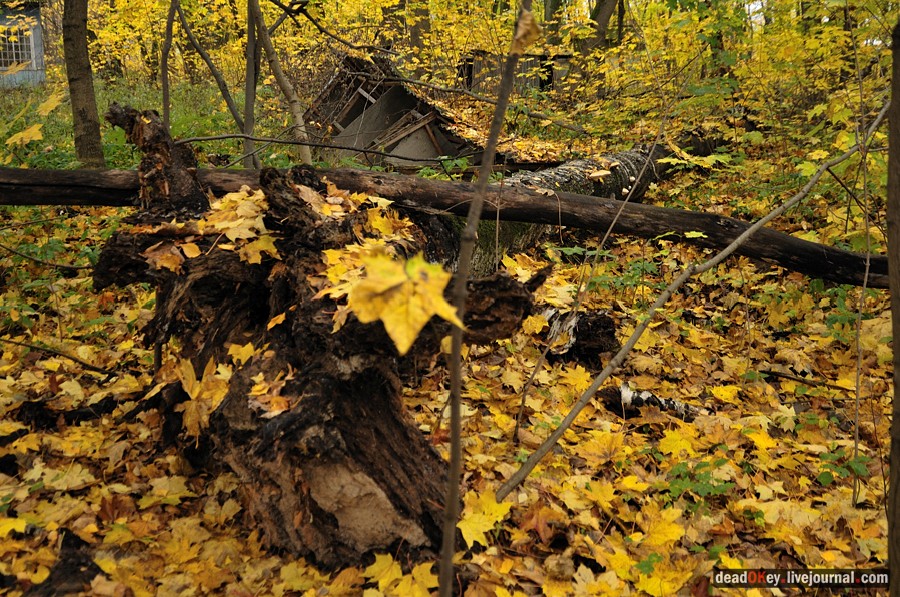 усадьба Жуково