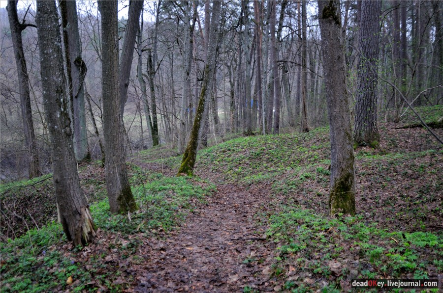 усадьба Полотняный Завод Гончаровых