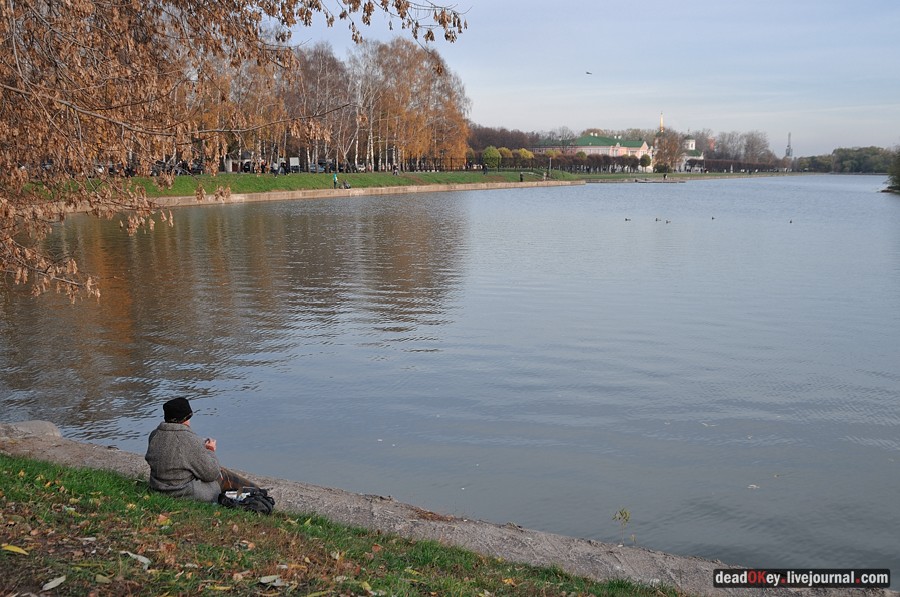 Бабушки в русских усадьбах
