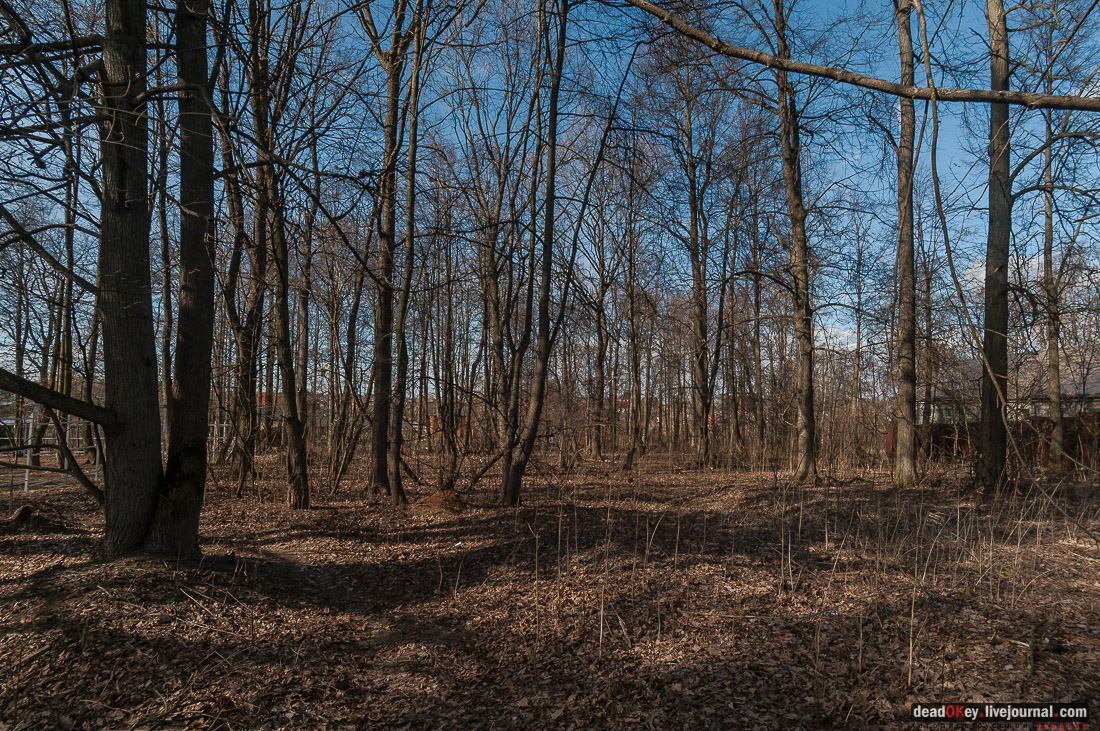 Усадьба Пешково