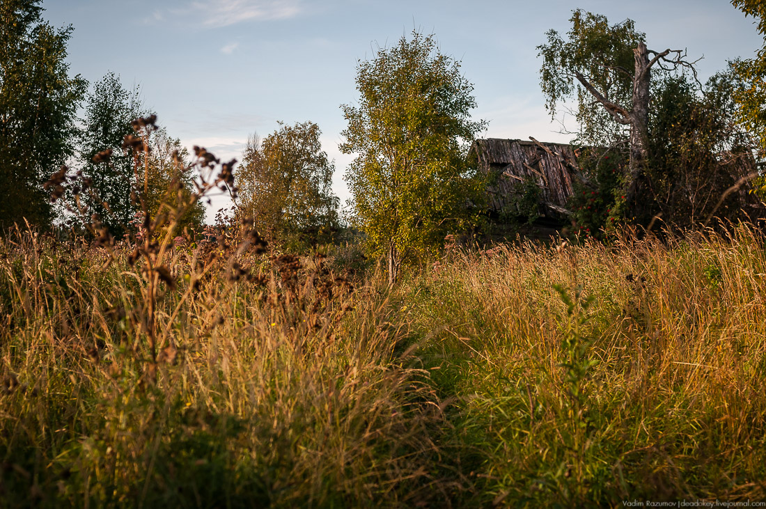 дер. Кучепалда, Архангельская обл.