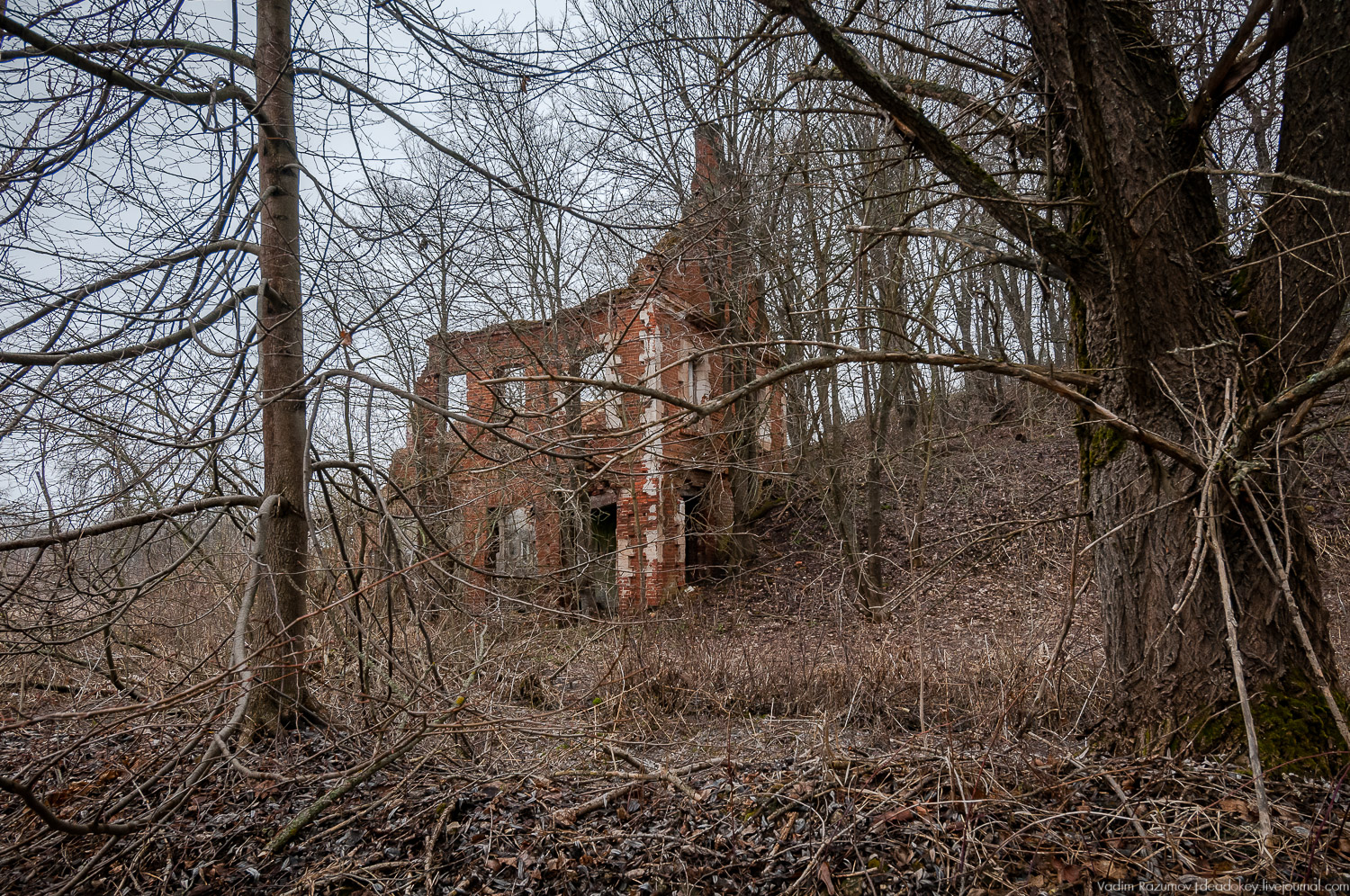 Усадьба Сенницы Усадьба Сенницы