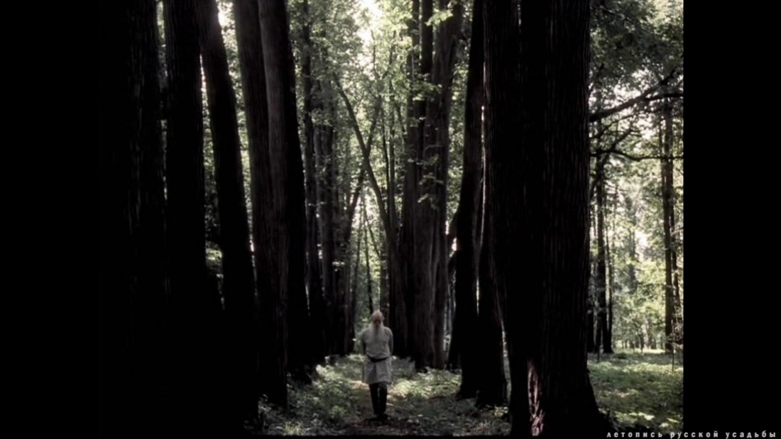 фильм Лев Толстой (1984), усадьба Ясная Поляна, Тульская область, Щекинский район, дер. Ясная Поляна.