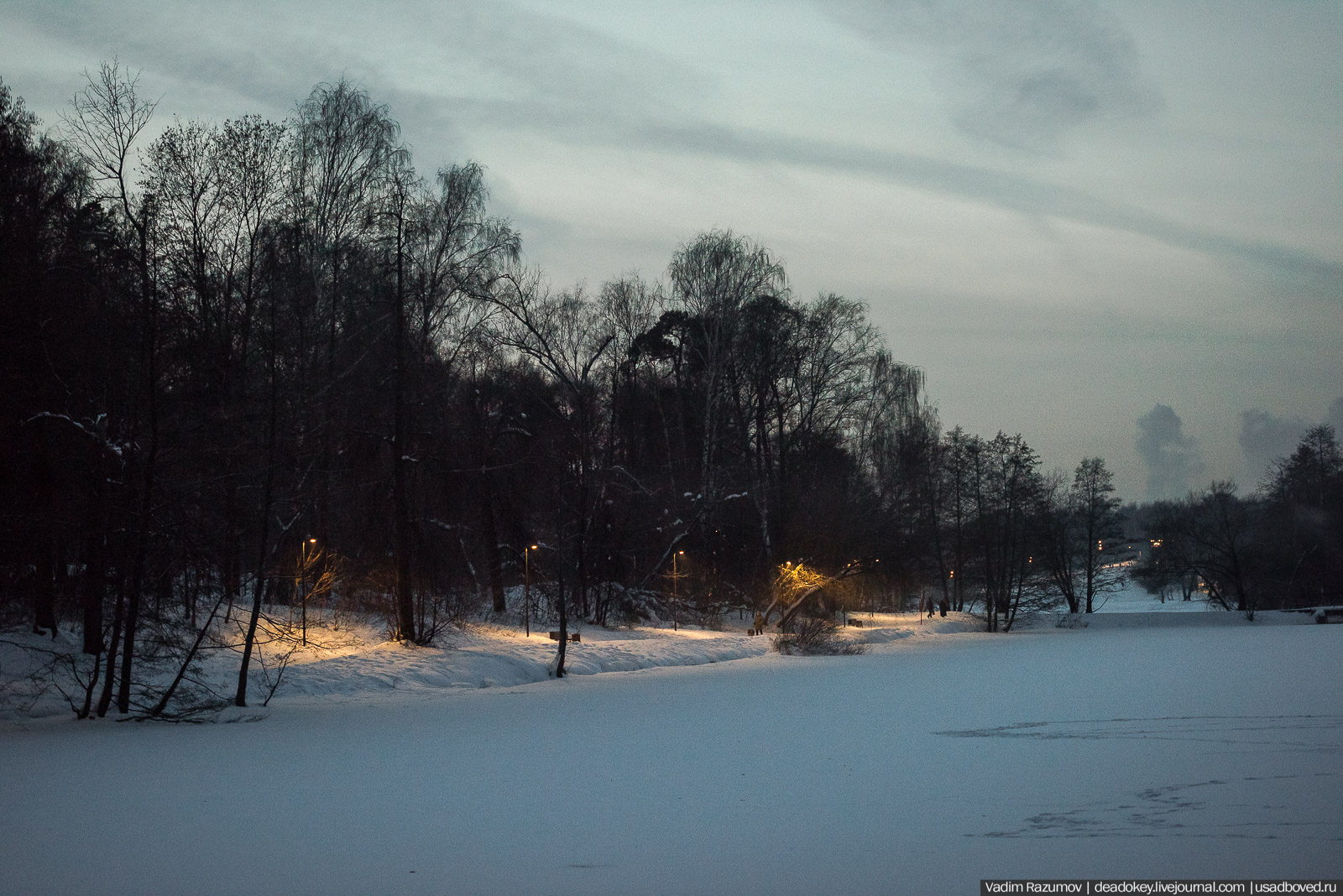 Усадьба Кузьминки, Москва, январь 2019 года
