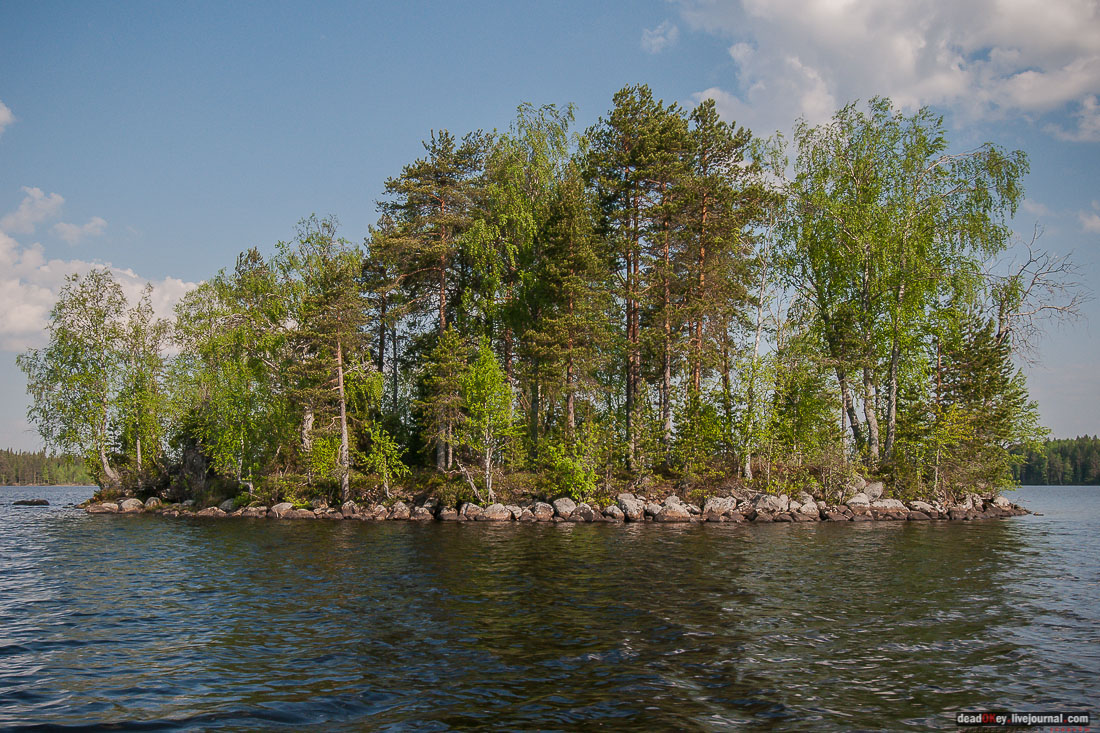 заброшенная деревня Сяпчозеро, Карелия, Кондопожский район