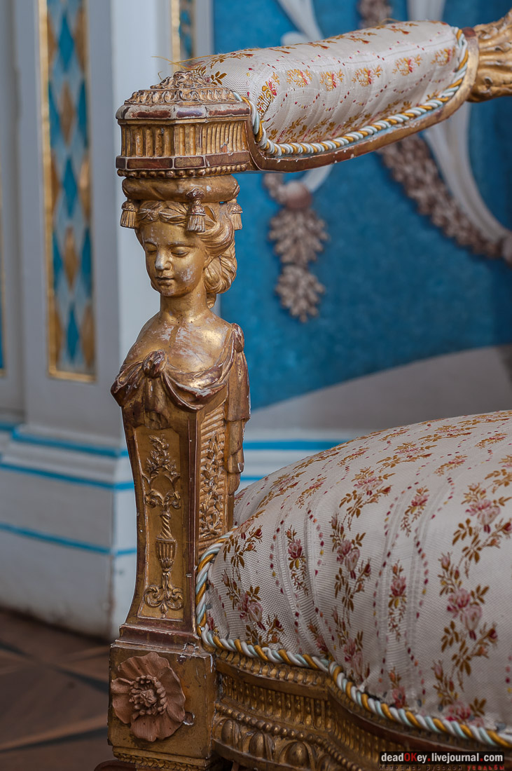 усадьба Кусково библиотека