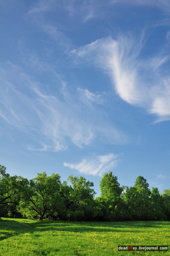 усадьба Прохорово