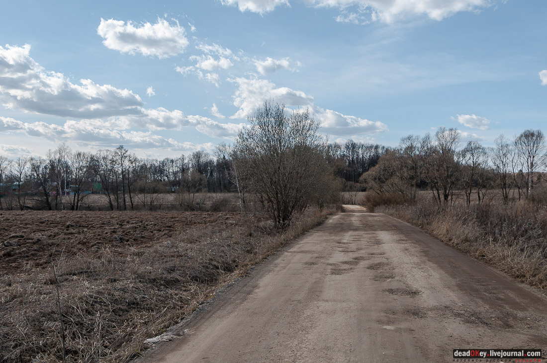 усадьба Васино