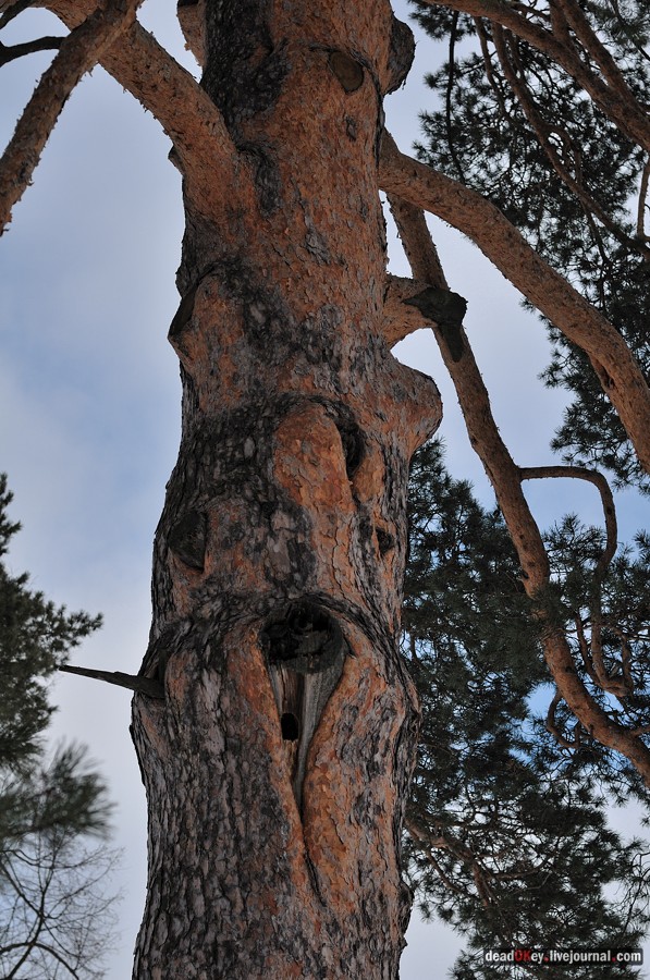 усадьба Милюково