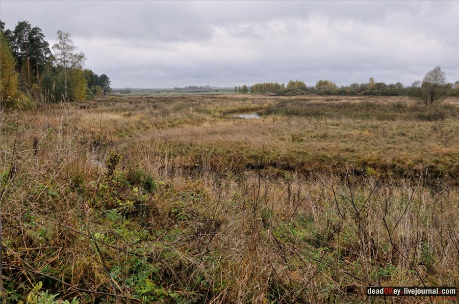 усадьба Федоровское