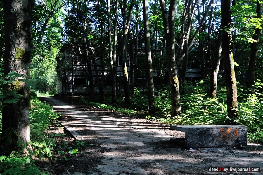 усадьба Шишкино