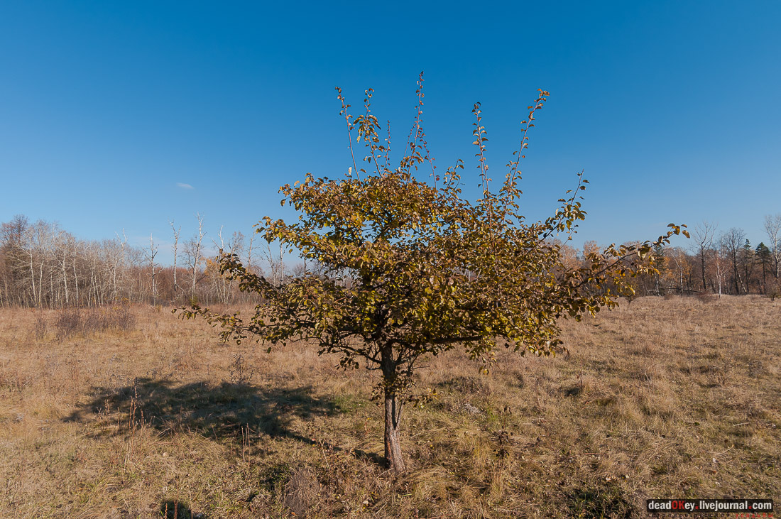 усадьба Полибино