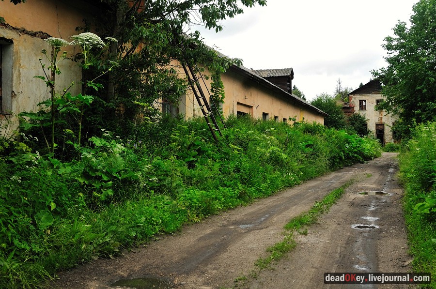 усадьба Гребнево