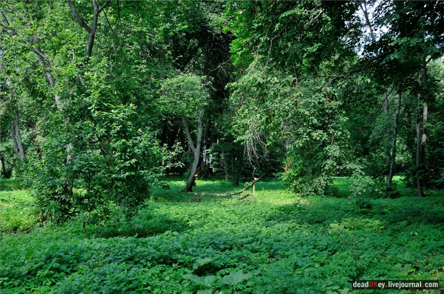 усадьба Троицкие Борки