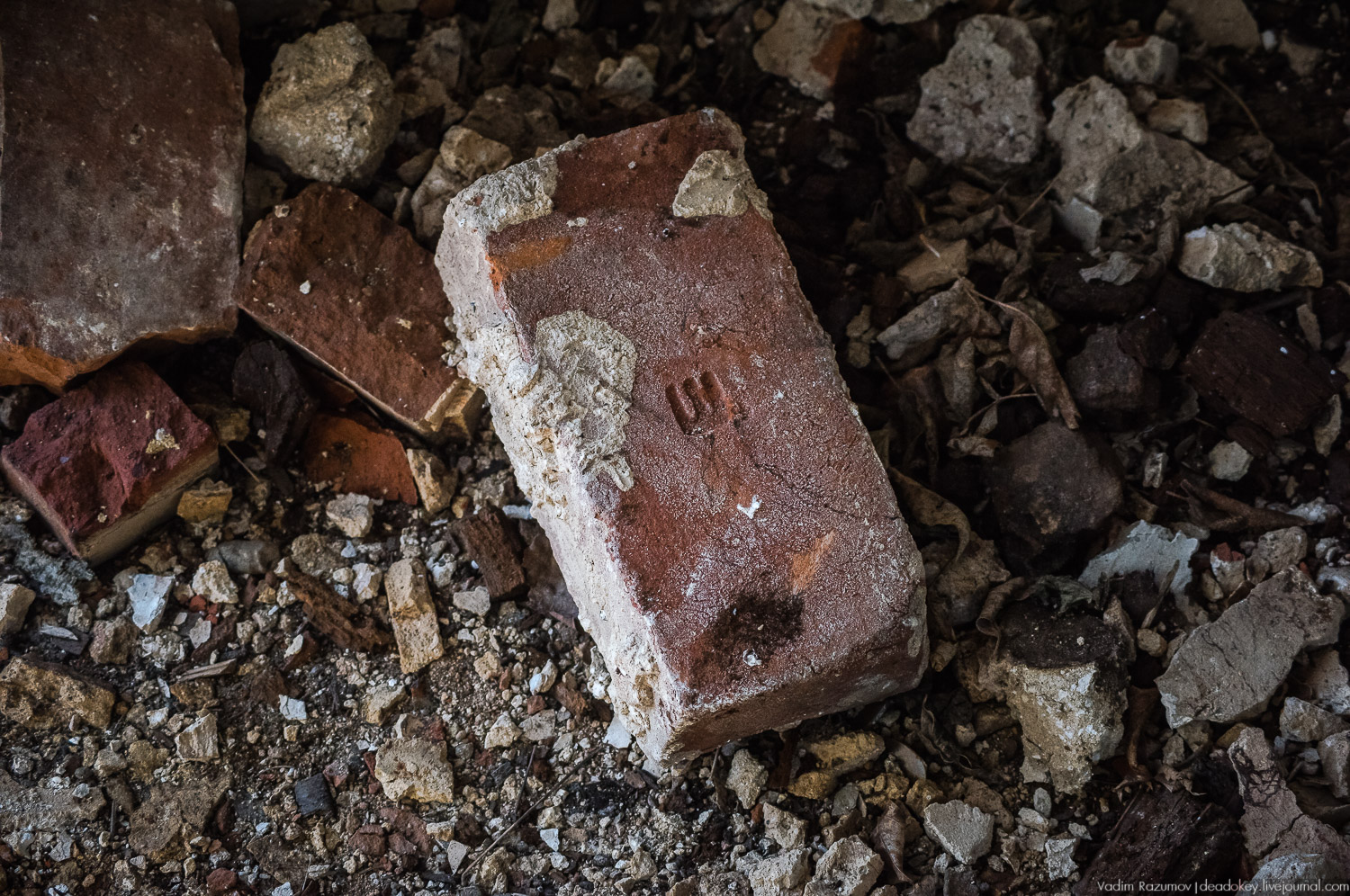 усадьба Моховое, Орловская область