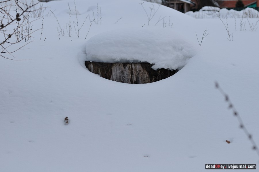 усадьба Милюково