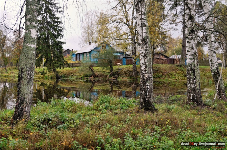 усадьба Лучки