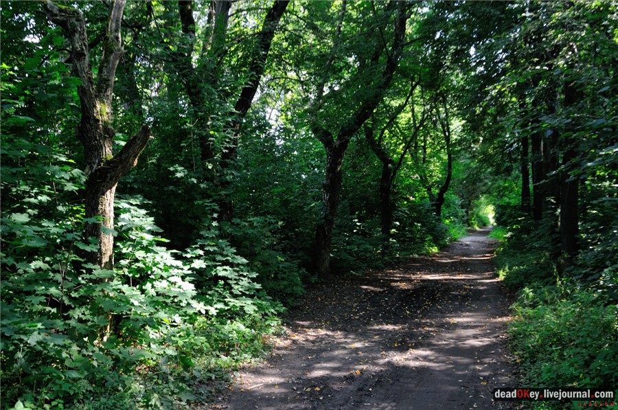 усадьба Никольское-Тимонино