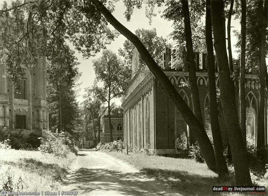 П.В.Клепиков. Фотографии