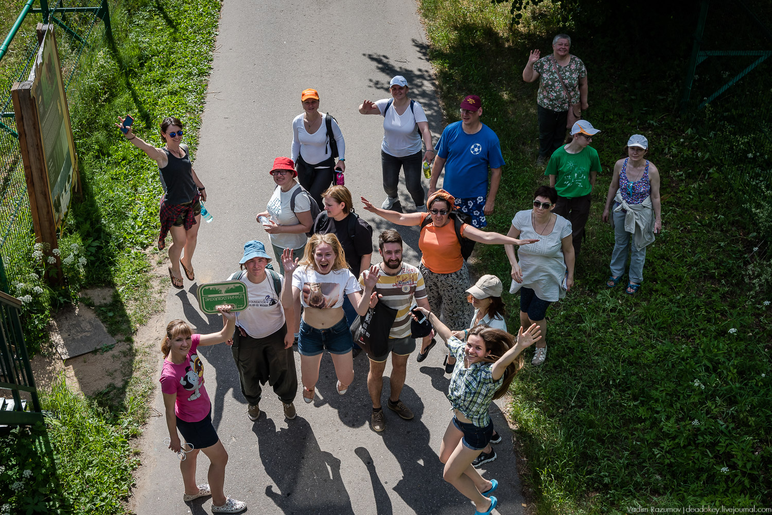 Экоэлектричка. Волонтерский поезд к зубрам в Приокский террасный заповедник