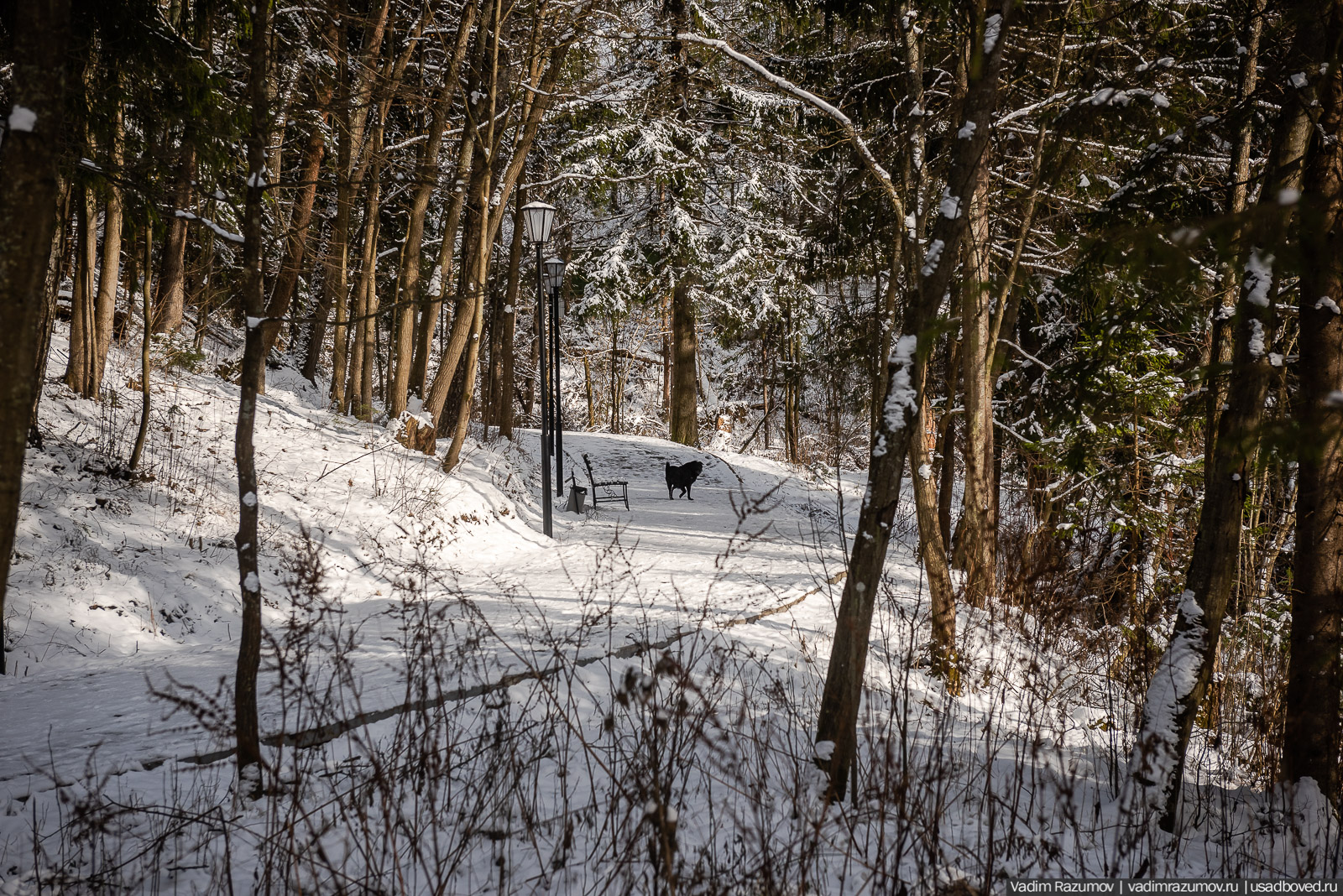 усадьба Абрамцево, 2020 год, зима, последний снег