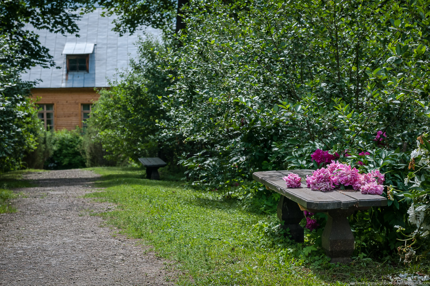 Цветы в усадьбах, поздравление с 8 марта