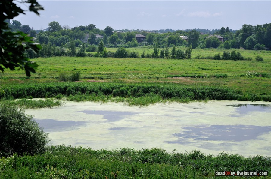 усадьба Образцово