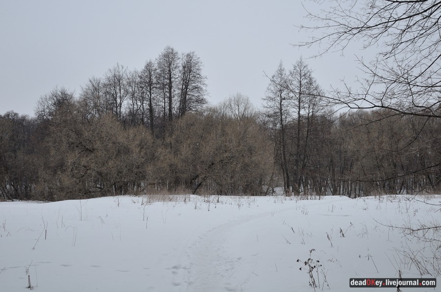 усадьба Марьинка