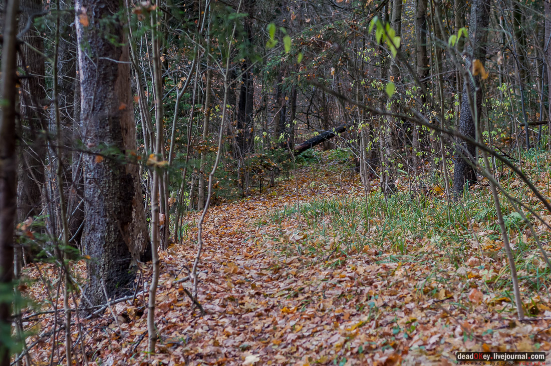 Усадьба Любвино