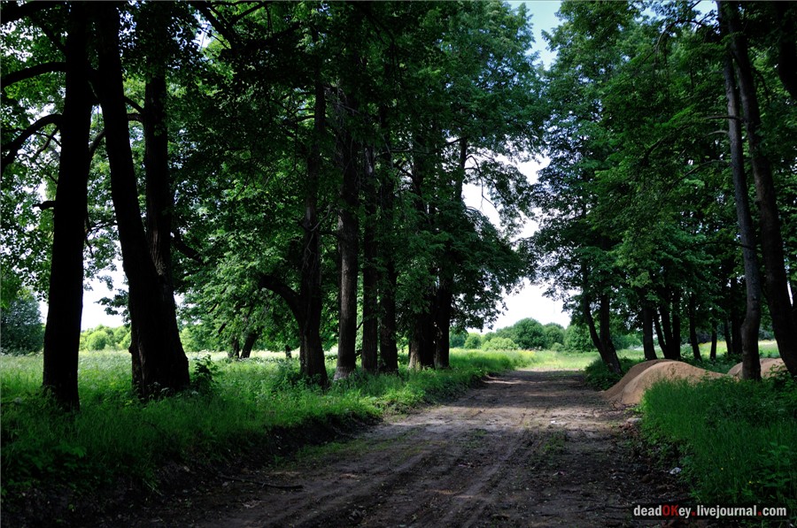 усадьба Петровское (Большепетровское)