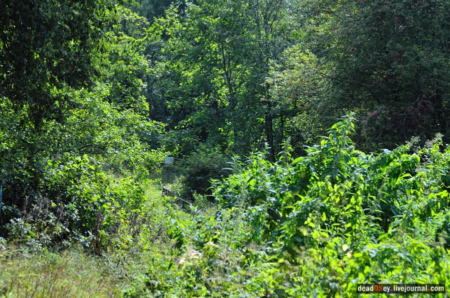 усадьба Верхоляне