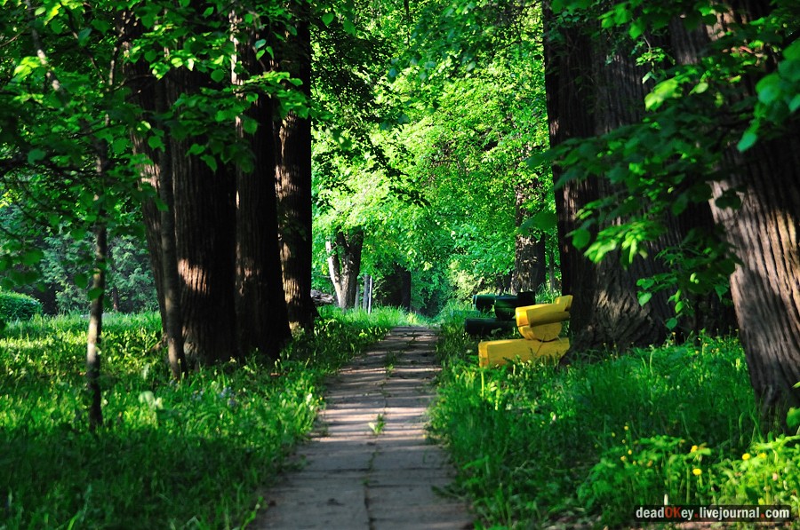 усадьба Богословское-Могильцы