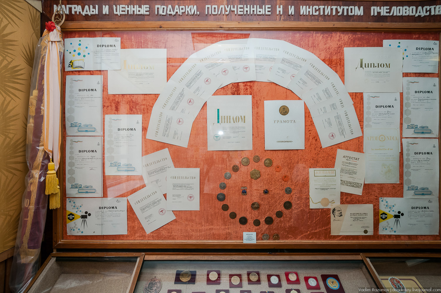 НИИ Пчеловодства, Рязанская область, Рыбное