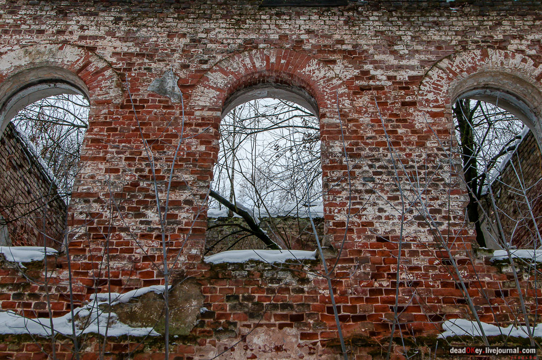 усадьба Гребнево, больничный комплекс