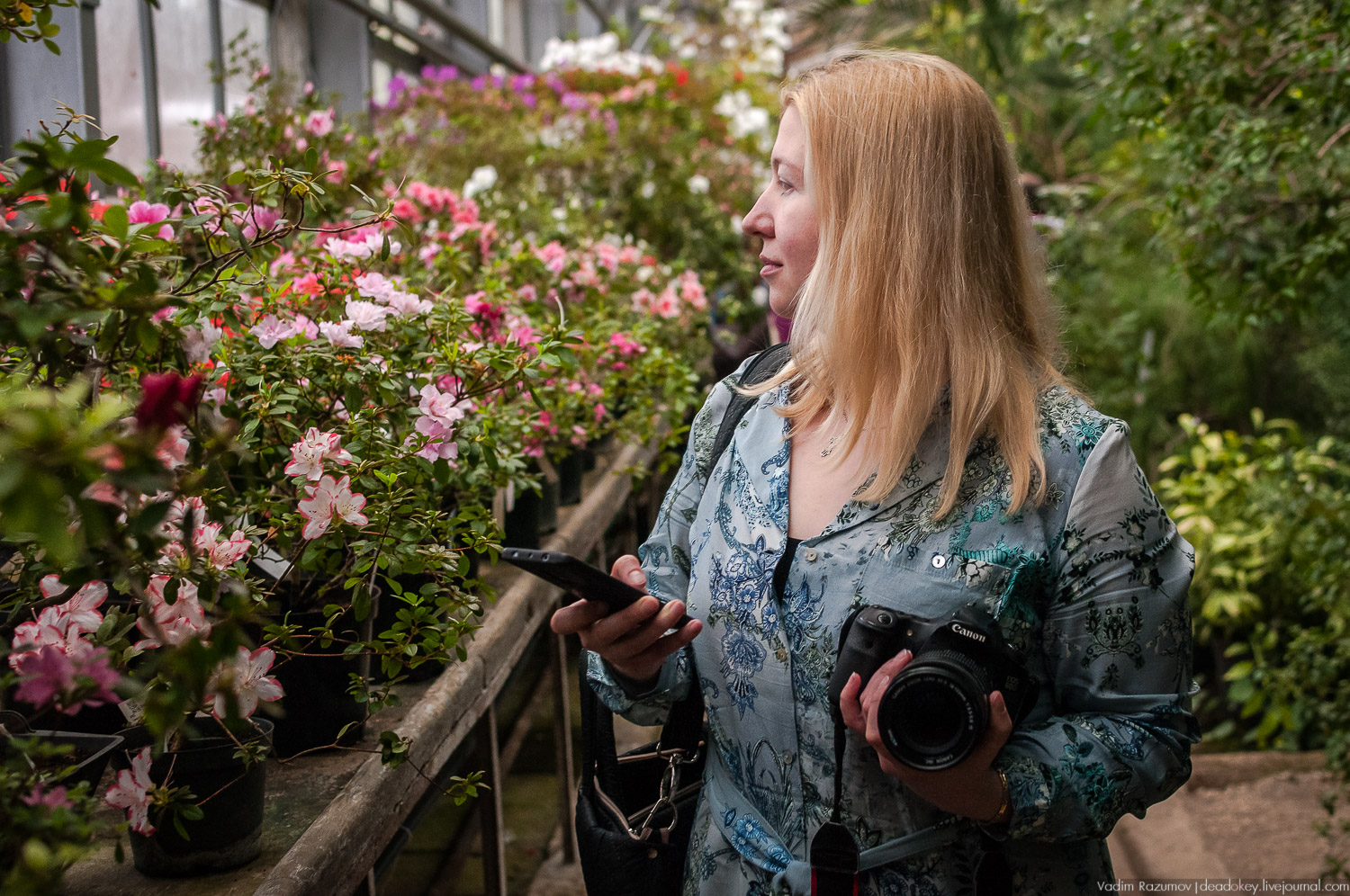 Ботанический сад, фондовая оранжерея, Экоэлектричка, борщевик