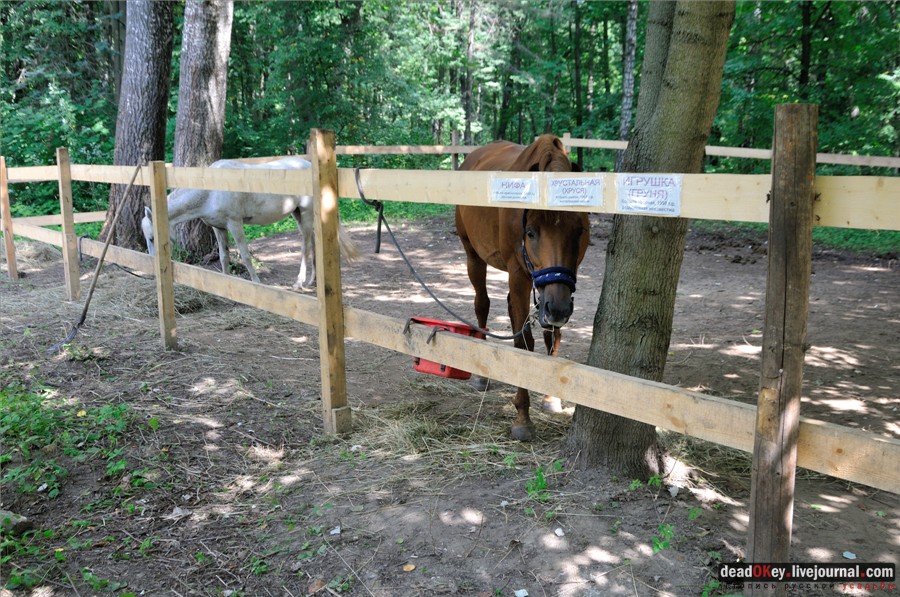 усадьба Глинки Якова Брюса (пансионат Монино)