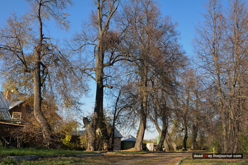 усадьба Остров