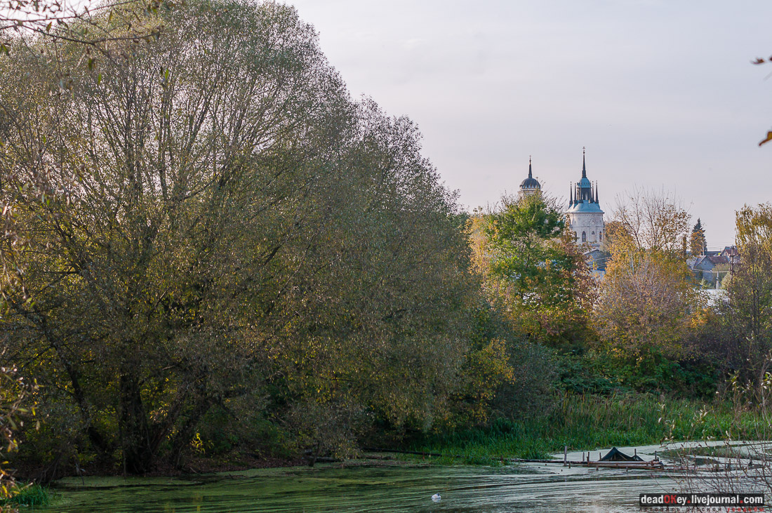Усадьба Быково. Швейцарская ферма