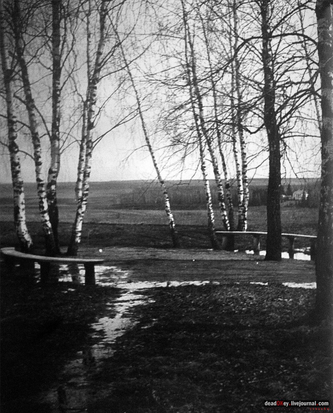 усадьба Дугино (Мещерское, старые фотографии)